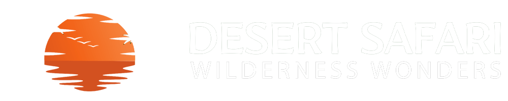 desert safari dubai quora